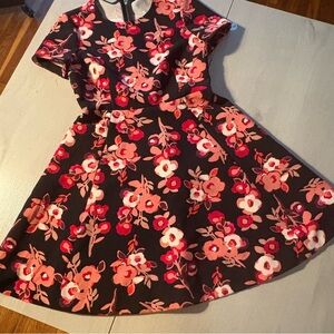 Floral  Dress in Pink and Red‎
